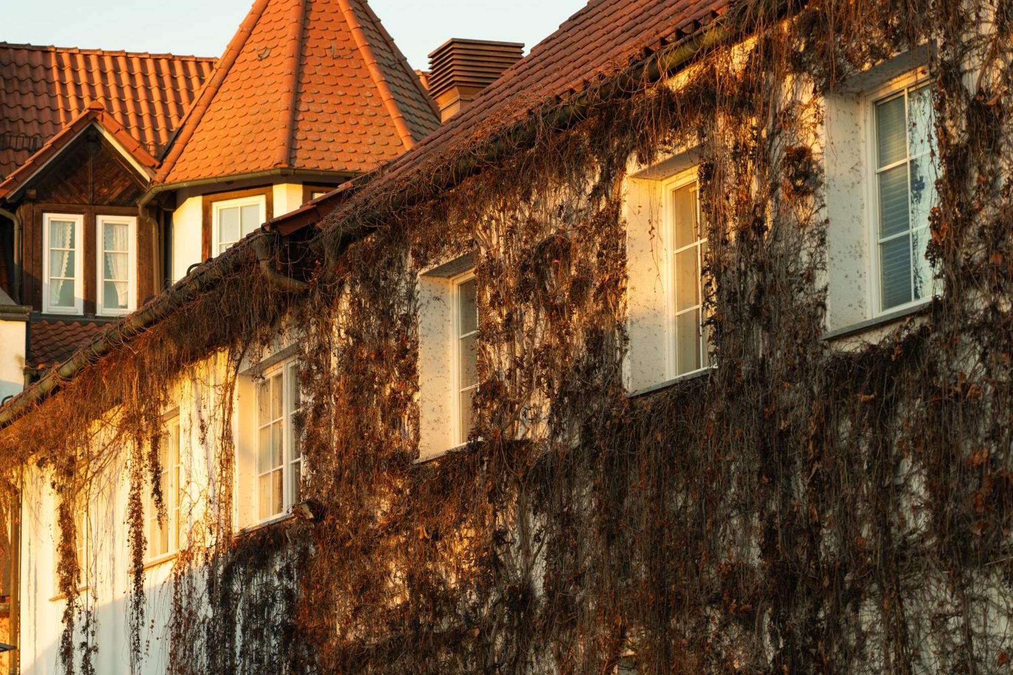 Landhotel&Restaurant Kains Hof Uhlstädt Exterior foto